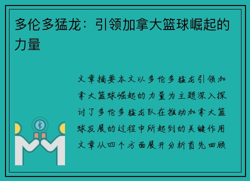 多伦多猛龙：引领加拿大篮球崛起的力量