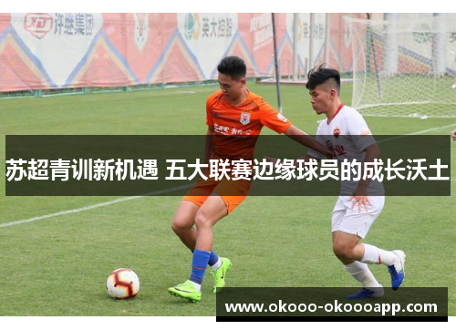 苏超青训新机遇 五大联赛边缘球员的成长沃土